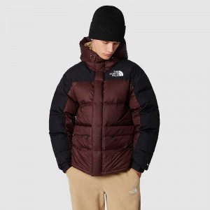 Men's The North Face Himalayan Down Jackets Black Brown / Black | Malaysia-8214709