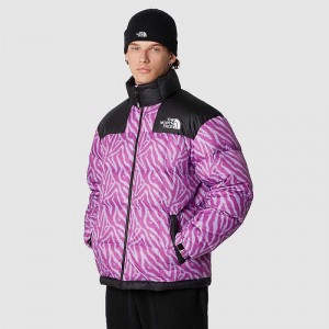 Men's The North Face Lhotse Down Jackets Purple Green Flower | Malaysia-6519248