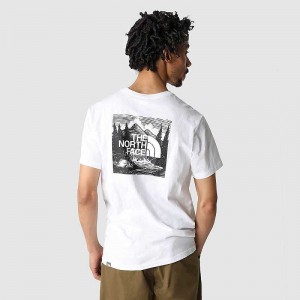 Men's The North Face Redbox Celebration T Shirts White | Malaysia-5091832