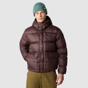 Men's The North Face Sierra Down Jackets Black Brown | Malaysia-6740281