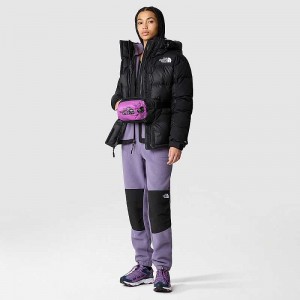 Women's The North Face Denali Pants Light Purple | Malaysia-2709138