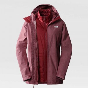 Women's The North Face Hikesteller Triclimate 3 In 1 Jackets White / Dark Brown | Malaysia-1954023