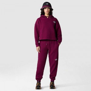 Women's The North Face Mhysa Pants Fuchsia | Malaysia-2481569