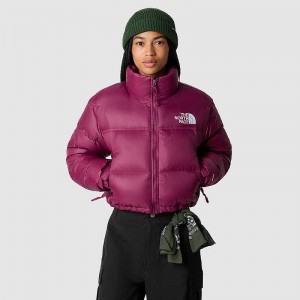 Women's The North Face Nuptse Down Jackets Fuchsia | Malaysia-7320498