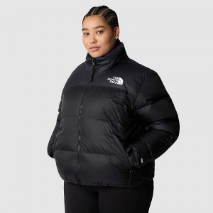 Women's The North Face Plus Size 1996 Retro Nuptse Down Jackets Rose | Malaysia-6924701