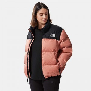 Women's The North Face Plus Size 1996 Retro Nuptse Down Jackets Rose | Malaysia-8631902