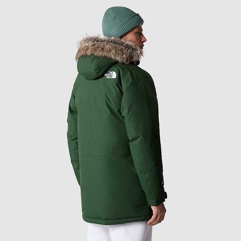 Men's The North Face Recycled Down Jackets Deep Green | Malaysia-2387509