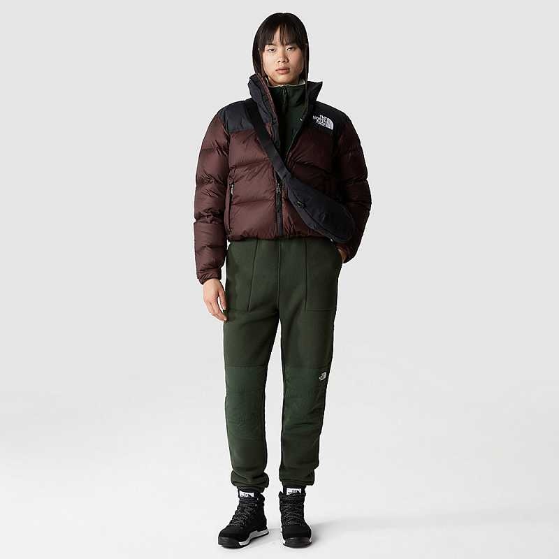 Women's The North Face 1996 Retro Nuptse Down Jackets Black Brown / Black | Malaysia-3760891