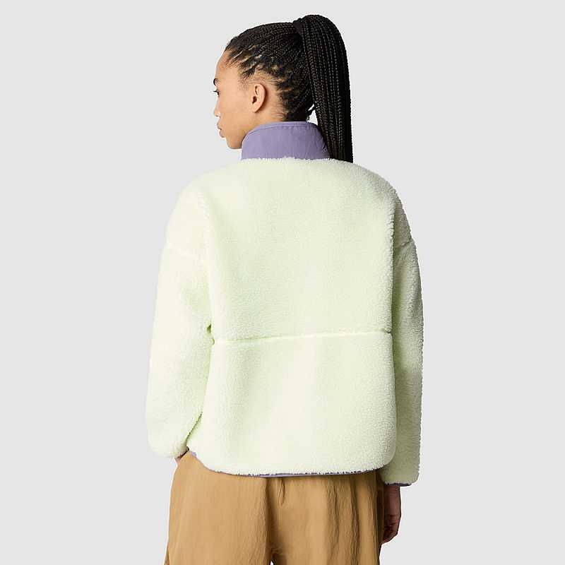 Women's The North Face Extreme Pile Pullover Light Green Cream | Malaysia-2874105