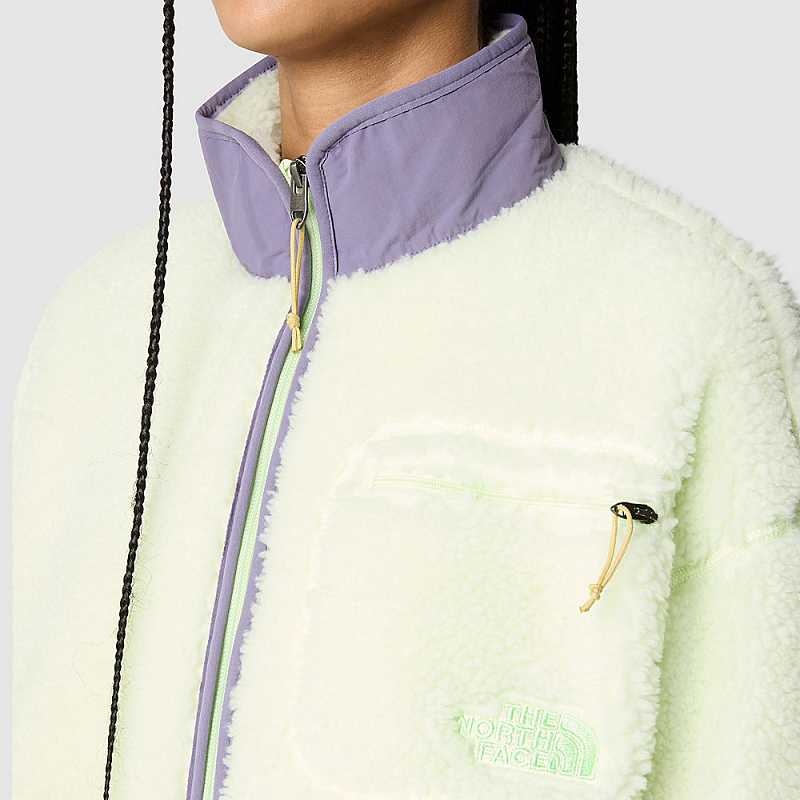 Women's The North Face Extreme Pile Pullover Light Green Cream | Malaysia-2874105