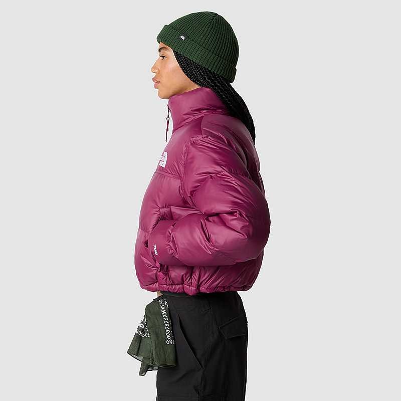 Women's The North Face Nuptse Down Jackets Fuchsia | Malaysia-7320498