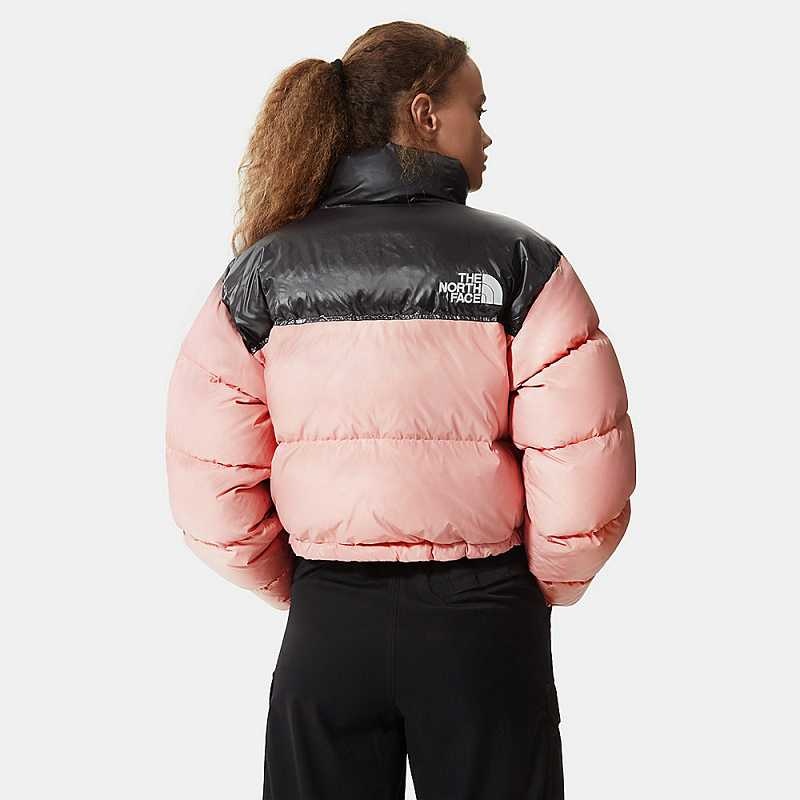 Women's The North Face Nuptse Down Jackets Rose Brown | Malaysia-1039274