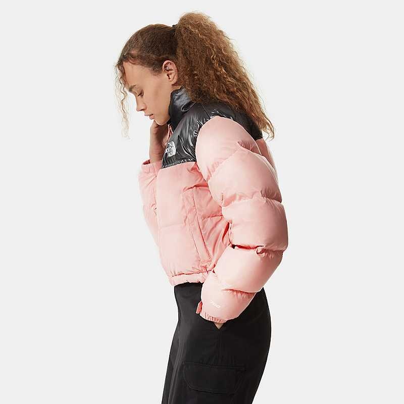 Women's The North Face Nuptse Down Jackets Rose Brown | Malaysia-1039274